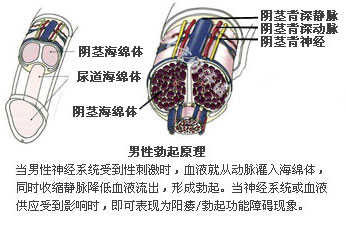 重庆曙光男科医院