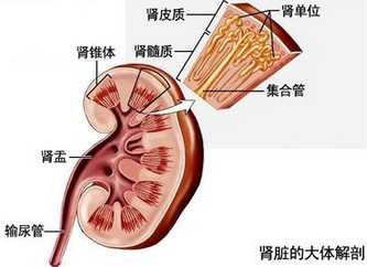重庆曙光男科医院