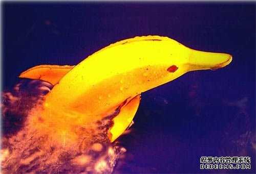 了却男科病 洗洗更健康