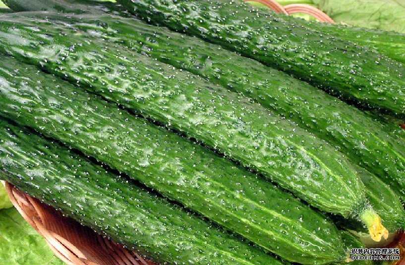 前列腺囊肿患者吃什么食物好呢