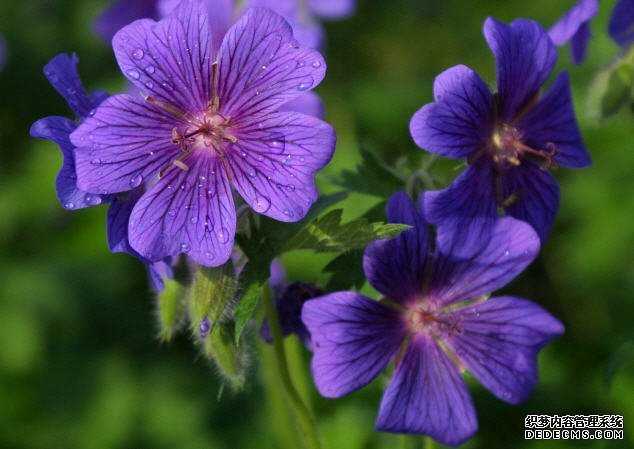 �Թ����ϰ�